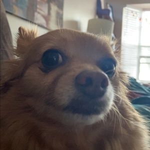 Meet your Posher, Matteo